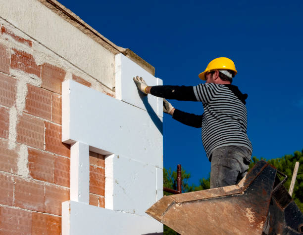 Best Types of Insulation in Salida Del Sol Estates, TX